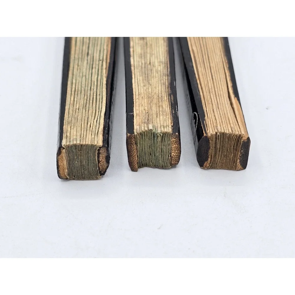 3 Lot Matching VTG Chinese Folding‎ Hand Fans Handmade Painted Rice/Bamboo Paper - Picture 16 of 16